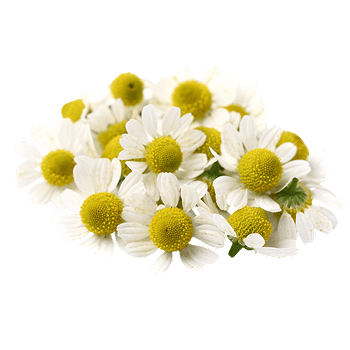 Estratto di biancospino