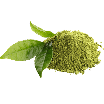 Estratto di mirtillo rosso